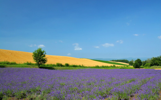 465845 (a): :1920x1200